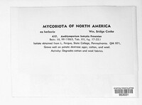 Image Associated With the Occurence